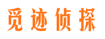 郏县市私家侦探